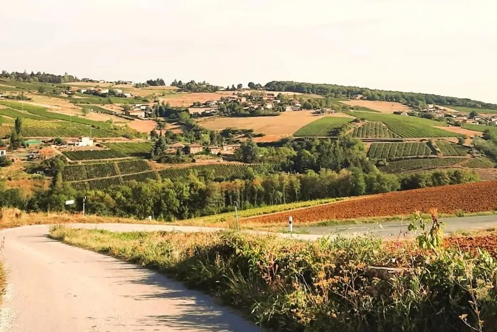 Beaujolais - Maison Pierres Dorees Ville-sur-Jarnioux 0*,  France